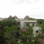 Organic luxury architecture